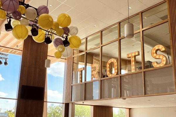 lichtletters diplomauitreiking trots
